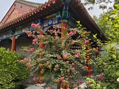 -有喜胶东小馆(超极合生汇太申祥和店)