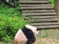 -柳州市动物园