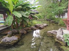 -百脉泉景区