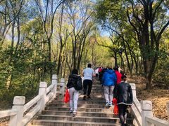 -灵岩山风景区