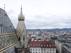 -斯蒂芬主教座堂(Stephansdom)