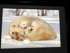 -罗红摄影艺术馆