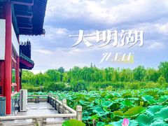 -济南大明湖景区