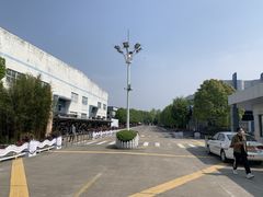 -胜华驾校·小猫学车(银都店)