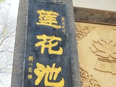 -莲花池公园
