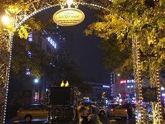 -人民防洪胜利纪念塔