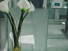 -福奈特洗衣洗鞋(宝山一二八纪念路店)