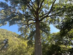 -天津盘山风景名胜区