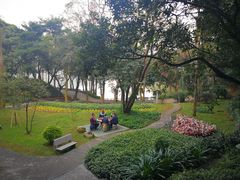 -西樵山风景名胜区-天湖公园