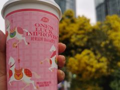 -茶屿水果茶(太古里店)