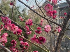 -山东大学(趵突泉校区)