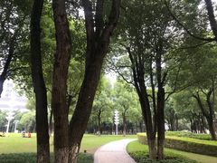 -重庆市江北嘴中央商务区中央公园