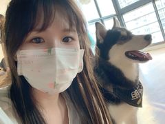 -Husky Go! 哈士奇体验馆·宠物咖啡厅狗咖