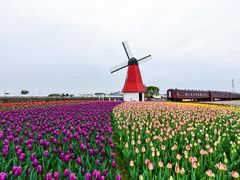 -菊园百果园