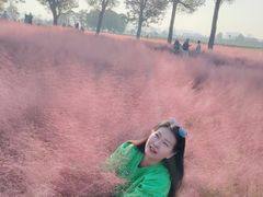 -汉长安城未央宫国家考古遗址公园