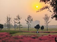 -汉长安城未央宫国家考古遗址公园