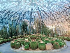 -深圳仙湖植物园