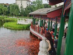 -西海子公园