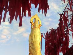 -广州莲花山旅游区