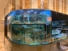 -金翠皇宫粤菜·点心·海鲜(科技园店)