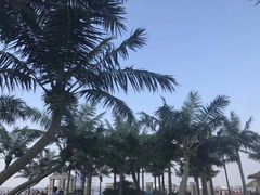 -碧海银沙景区