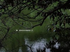 -中国科学院华南植物园