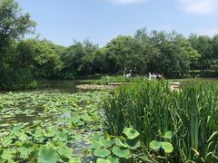 -西溪国家湿地公园