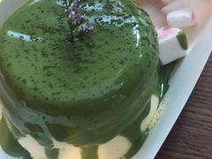 -狐狸和向日葵(北京路店)