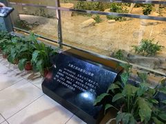 -狼牙山风景区