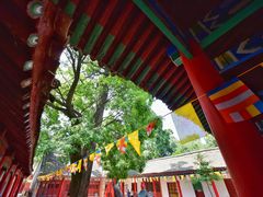 -少华山国家森林公园