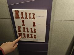 -北京周口店北京人遗址博物馆