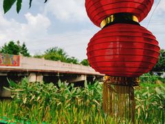 -晓琦农家菜馆·地道农家菜