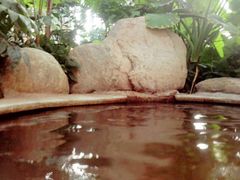 -郑州银基黄帝宫御温泉