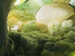 -湖南省地质博物馆