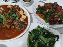 -煲来饱去冷水鱼