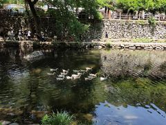 -鹿亭中村