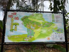 -呀诺达热带雨林