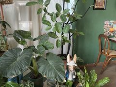 -Thai Basil罗勒叶泰式餐厅(时代天街店)