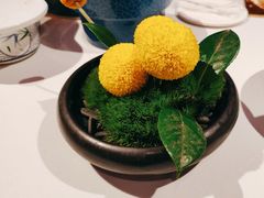 -悦江(梅奔中心店)