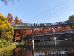 -梅峰山地公园