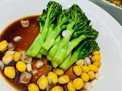 白灼罗马生菜-惠丰堂饭庄·烤鸭·京味菜(翠微路店)