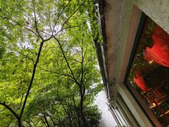 -申粤轩酒楼·三十年粤菜经典(丁香花园店)