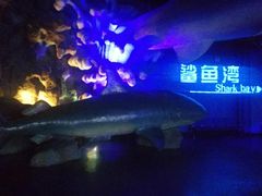 -泉城欧乐堡海洋极地世界