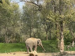 -北京野生动物园