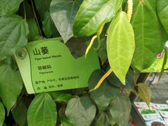 -华南国家植物园-售票处