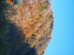 -狮子沟牧场