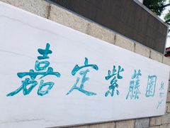 -嘉定紫藤园