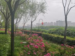 -西安汉城湖景区