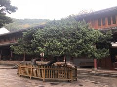 -普陀山风景名胜区-法雨禅寺