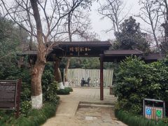 -白马涧龙池景区